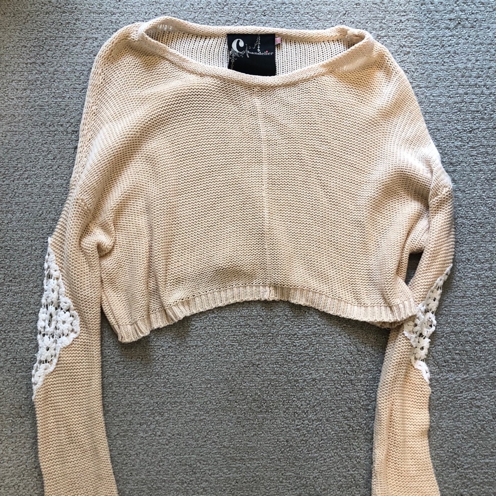 LF crop sweater